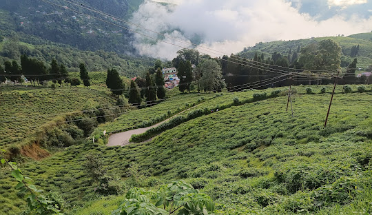 Full Day Darjeeling Local Sightseeing (03 Points + 07 Points)