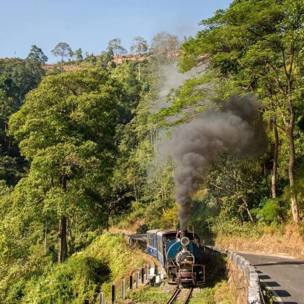 Darjeeling  hotel to NJP Rly Station / IXB Airport / Siliguri Bus Stand.