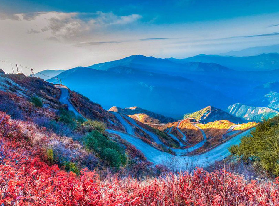 Full Day Excursion  of Zuluk & Night Stay In Zuluk / Padamchen.
