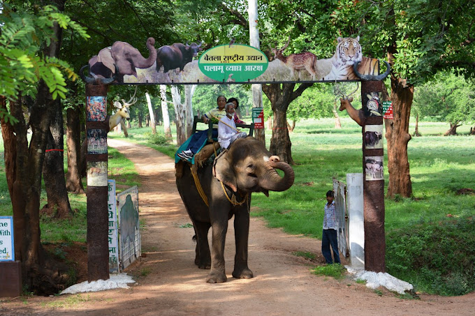 Netarhat – Betla National Park – Latehar (Approx 110 km / 4 hrs)