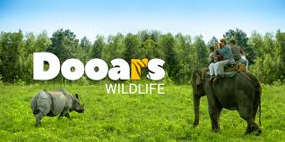 Forests of Dooars.