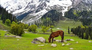 Kashmir with Vaishno Devi Tour.