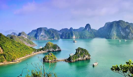 Vietnam Delight