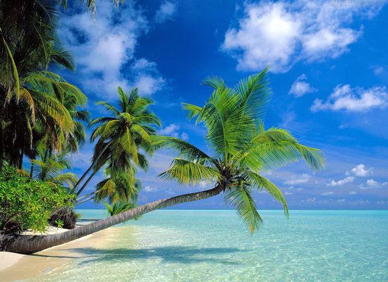 Beautiful Andaman