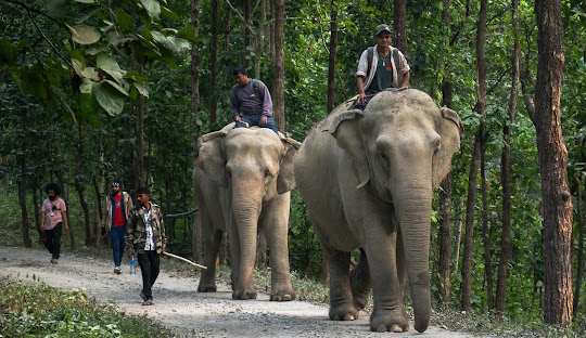 Nepal Tour with Chitwan & Lumbini.