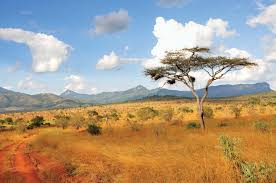 South Africa