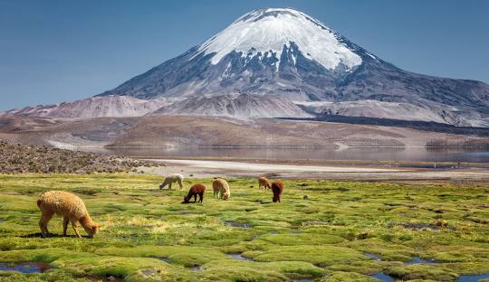Chile
