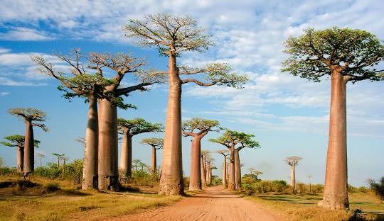 Madagascar