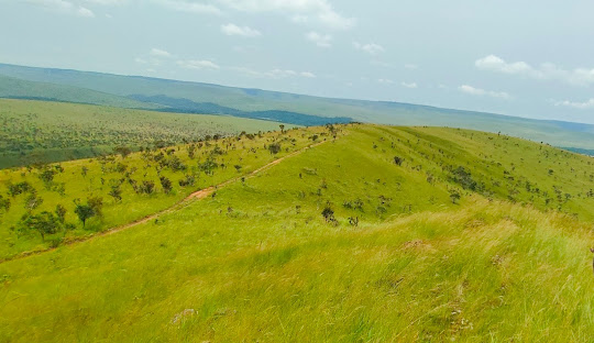 Republic of the Congo