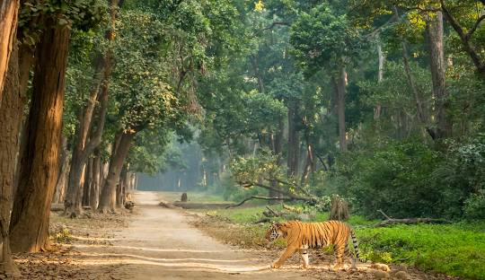 Uttarakhand