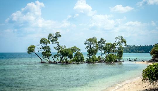 Neil Island
