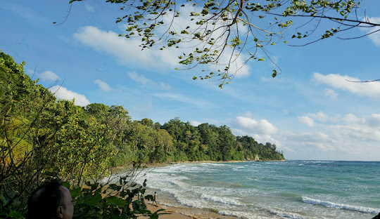 Neil Island
