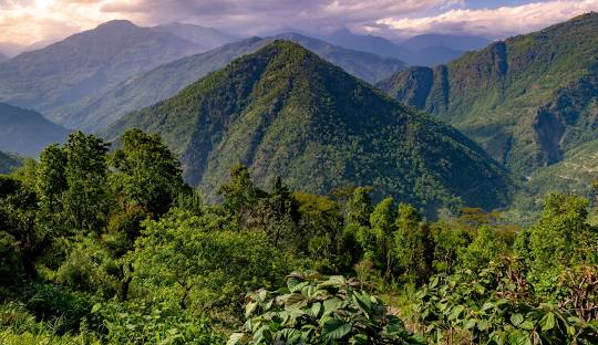 Pelling