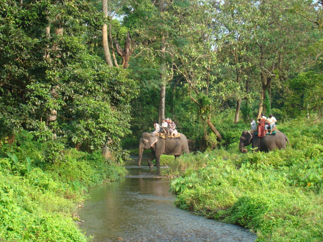 Jaldapara