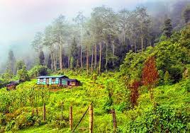 Sillery Gaon